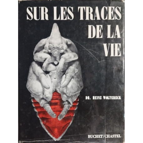 Sur les traces de la vie