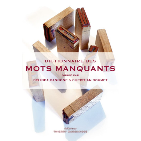 Dictionnaire des mots manquants