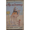 Au pays des chameaux
