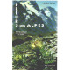 Fleurs des alpes
