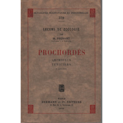 Lecons de zoologie n° 379 / prochordés amphioxus tuniciers