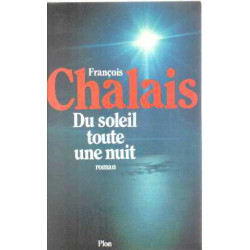 Du soleil toute une nuit / roman
