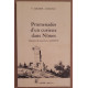 Promenades d'un curieux dans Nîmes