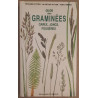 Guide des graminées - Carex Joncs Fougères