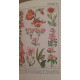Quelle est donc cette fleur ? - 600 plantes reconnues facilement...