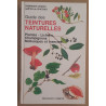 Guide des teintes naturelles - Plantes - Lichens - Champignons -...