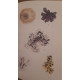 Guide des teintes naturelles - Plantes - Lichens - Champignons -...