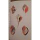 Guide des teintes naturelles - Plantes - Lichens - Champignons -...