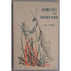 Mœurs des Insectes - illustrations de G. Boca