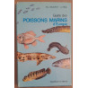 Guide des poissons marins d'Europe