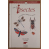 Guide des insectes - La description l'habitat les moeurs