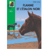 Flamme et l'étalon noir