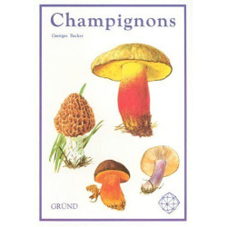 Champignons