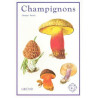 Champignons